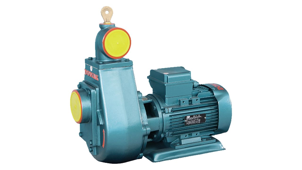 Kendinden Emişli Klapeli Monofaze / Trifaze Monoblok Elektropomplar