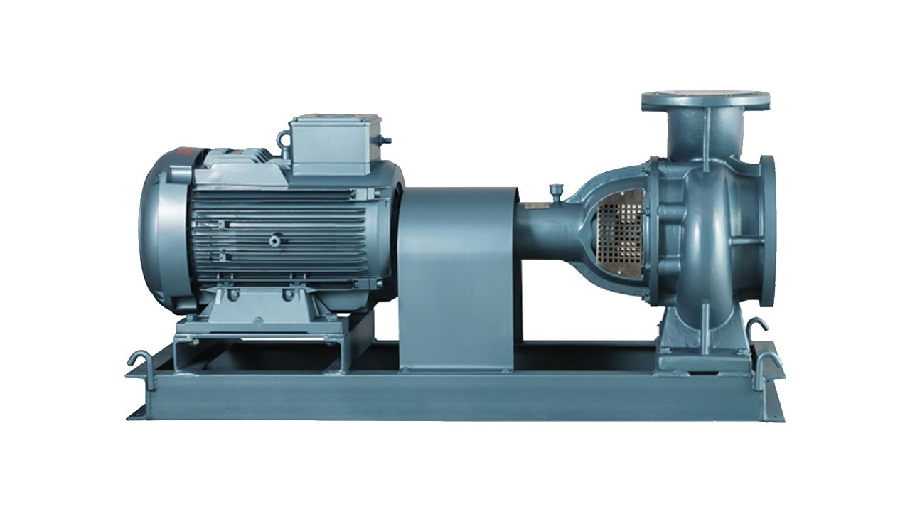 SLGYA - SLG6A - SLG650 - SLG650A - SLG860 Tip Salyangoz Gövdeli Elektropomplar